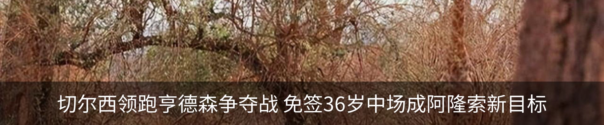 内页banner