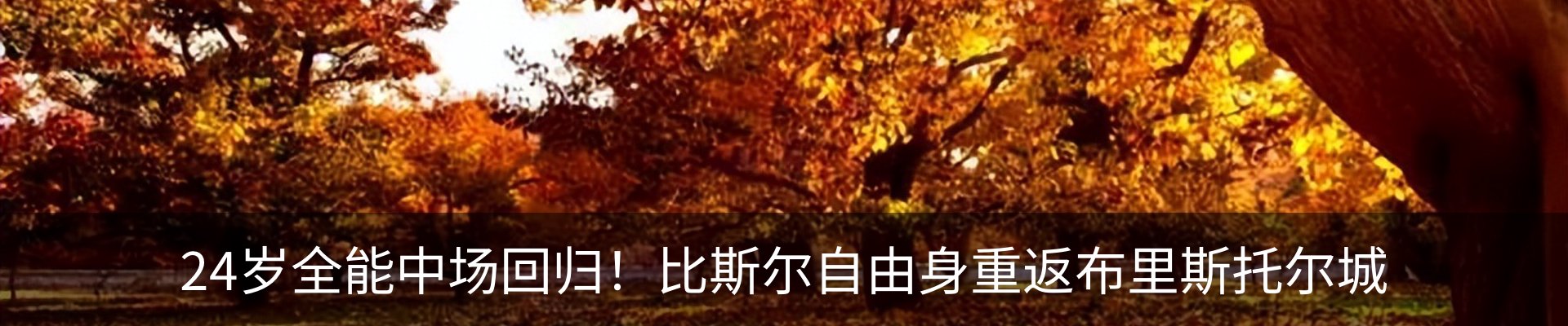 内页banner